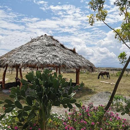 Pachingo Tatacoa Desert La Victoria  Εξωτερικό φωτογραφία